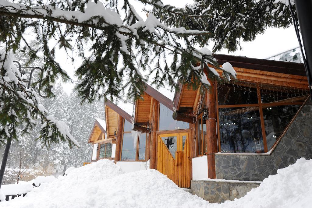 Gura Diham Hotell Buşteni Exteriör bild
