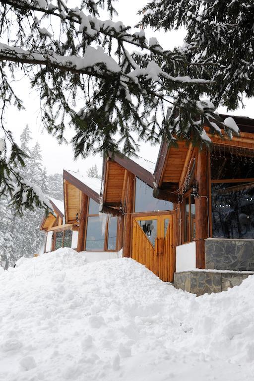 Gura Diham Hotell Buşteni Exteriör bild
