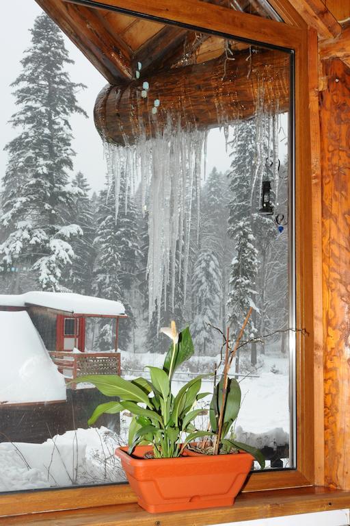 Gura Diham Hotell Buşteni Exteriör bild