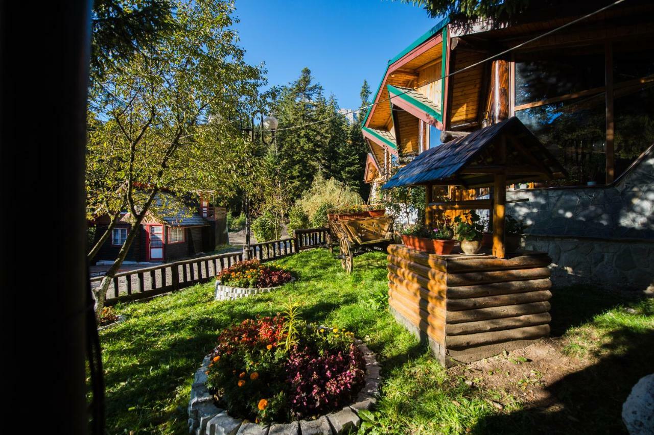 Gura Diham Hotell Buşteni Exteriör bild